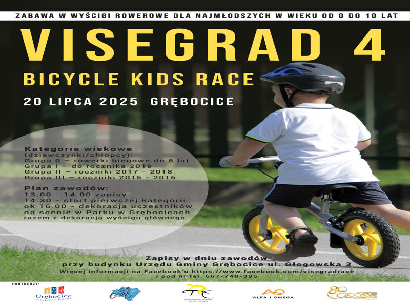 plakat visegrad 4 2025